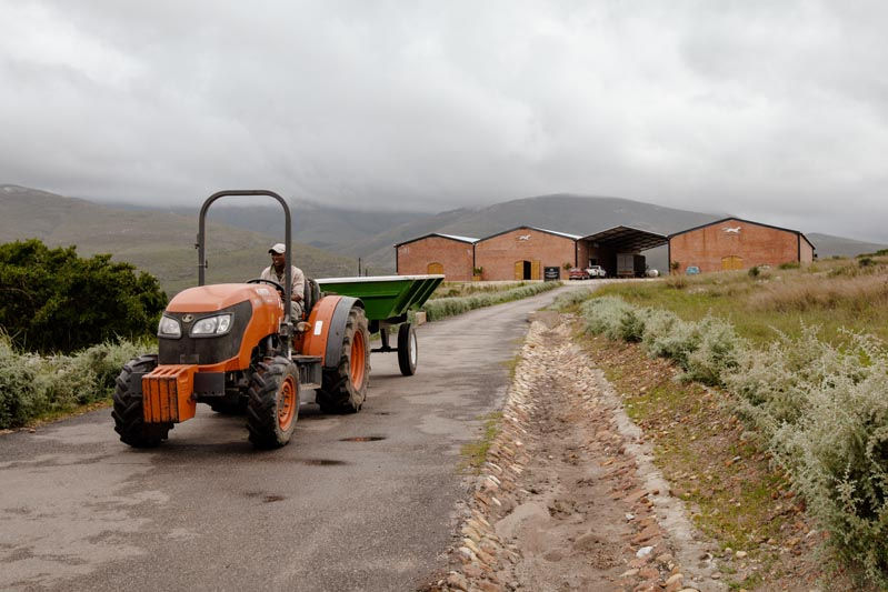 tractor on road near winery