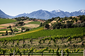 Manley Wine Estate