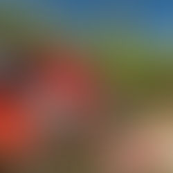 発電所管理サービス