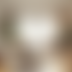 Transforming Spaces: A Journey Through Full Home Interior Design and Build Experiences