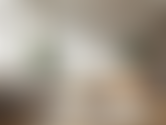 Comprehensive Residential Interior Solutions and Design Services in the Netherlands