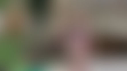 Jardins et Perspectives vous souhaite une excellente année 2026!