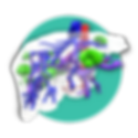 Icono web liver