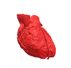 Cardio Fijas (7).png