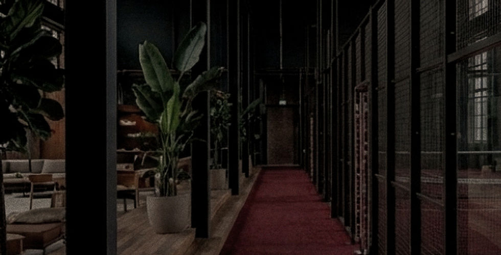 Padel Hub Header Image.jpg