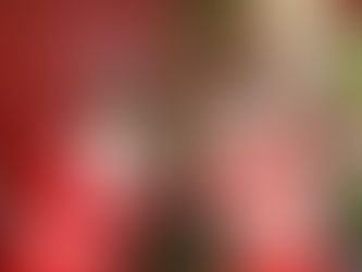 2018年 感謝の日々