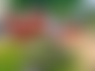 Yoga Retreats: Why They’re Essential for Self-Care and Well-being