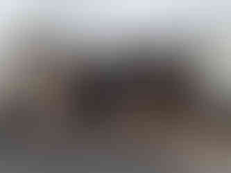 Das brennende Hackschnitzellager