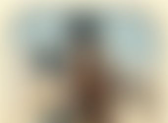 The Fallacy of Picks & Shovels