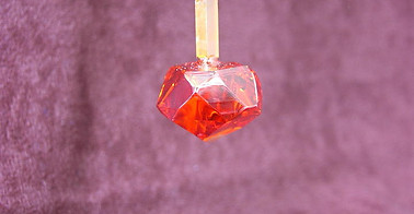 DSCN3215.jpg