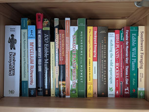 Becoming a Better Forager