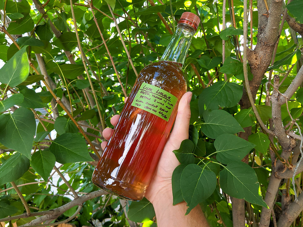 Liqueur made from lilac infused vodka and syrup.