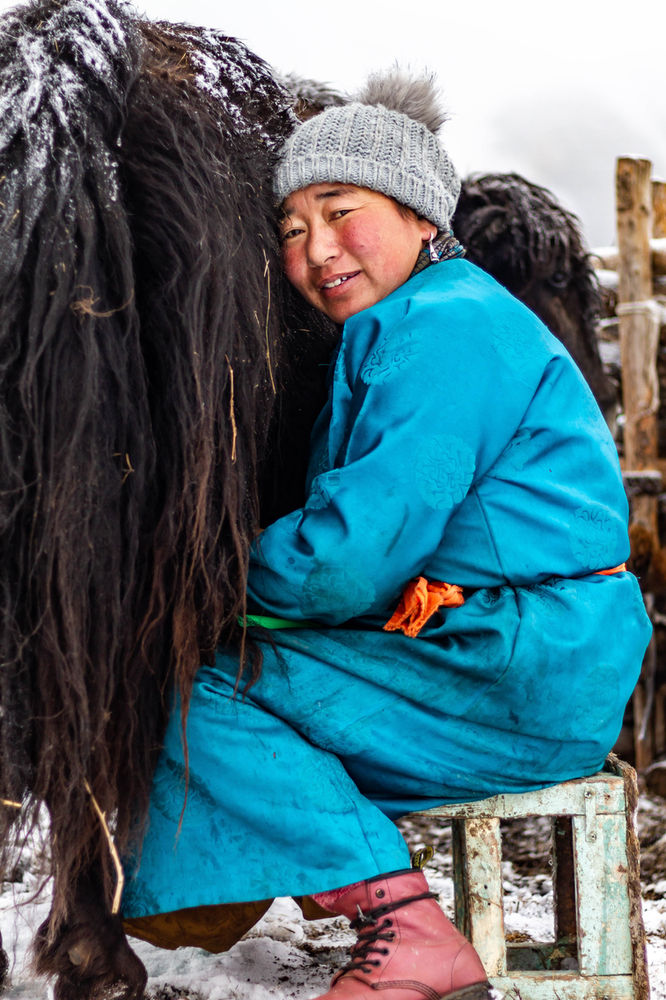 The answer to lactose intolerance might be in Mongolia