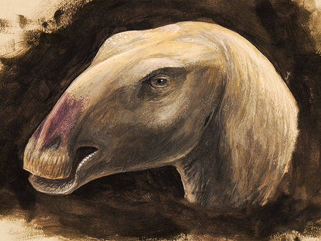 MONGOLIA THE LAND OF DINOSAURS