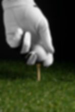 vid-sportivnogo-inventara-dla-gol-fa.jpg