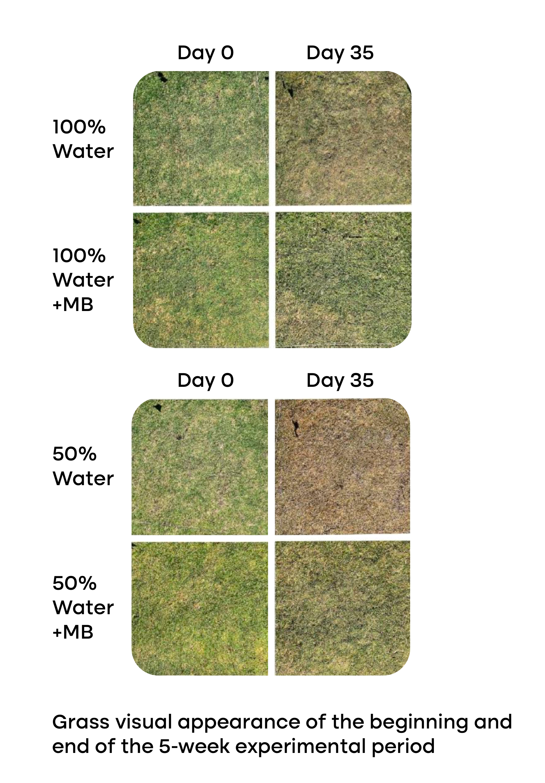 Screenshot 2025-07-14 at 09.11.03.jpeg