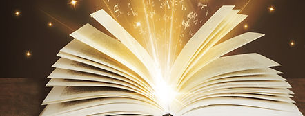 mytutorelite book