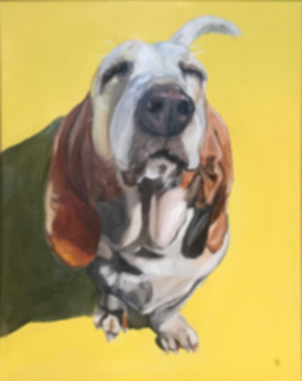 Custom Pet Portrait, 16" x 20"