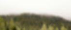 pexels-eberhardgross-4406625_edited.jpg