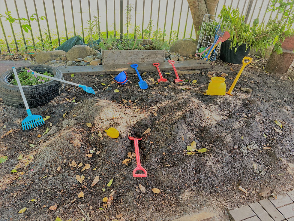 Our Mud Pit