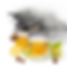 Elevation Holiday Post(54).png