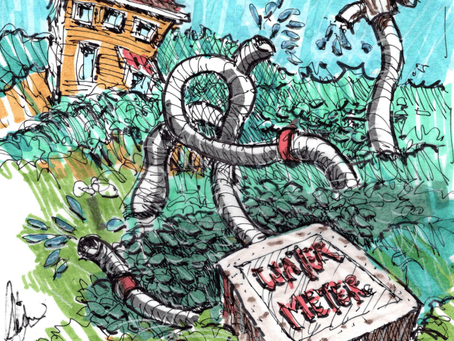Dealing with Springtime Water Leaks