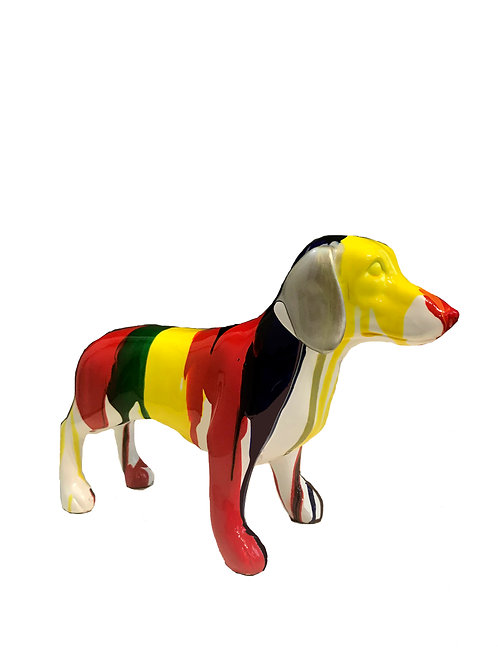 Teckel multicolor