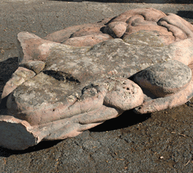 Sculpture Stone - Mid Valley Rock