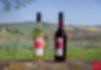 PAYSAGE FLOC DE GASCOGNE.jpg