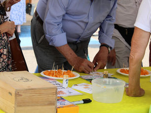Une matinée avec le melon de Lectoure