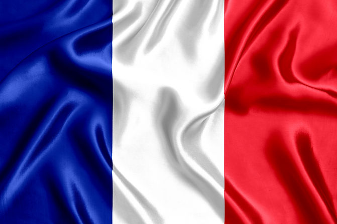 vecteezy_flag-of-france-silk-close-up_44428480.jpg