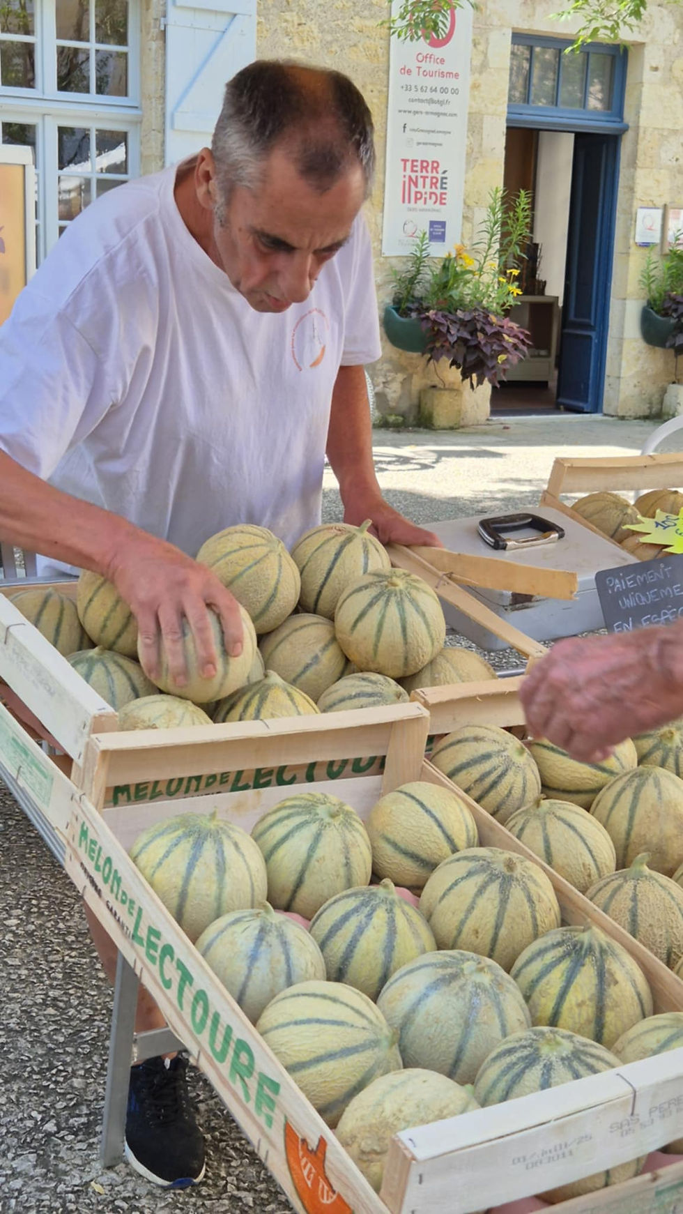 vente du melon de Lectoure