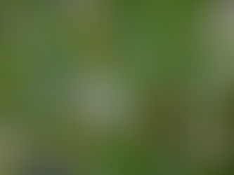 Sandisk lanza la línea de productos con licencia oficial de la Copa Mundial de la FIFA 2026