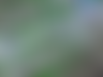 Intel Panther Lake Compute Tile obtiene una imagen detallada del chip, el primer producto 18A para clientes con 16 núcleos P Cougar Cove de última generación y núcleos E Darkmont.