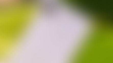 Abandona tus esperanzas de un cambio de diseño para el iPhone 17e y el iPad básico de Apple, según afirma un informe contrario.