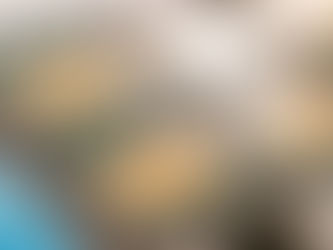 Se filtra la CPU Intel Xeon 654 «Granite Rapids» para estaciones de trabajo: 18 núcleos a 4,80 GHz y 72 MB de caché, se revelan las especificaciones preliminares de la gama.