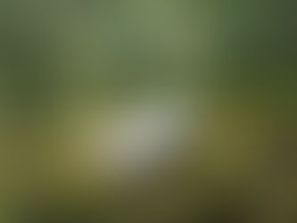 Tiiny AI presenta el mini PC AI Pocket Lab con CPU Arm de 12 núcleos