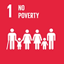 sdg1.png
