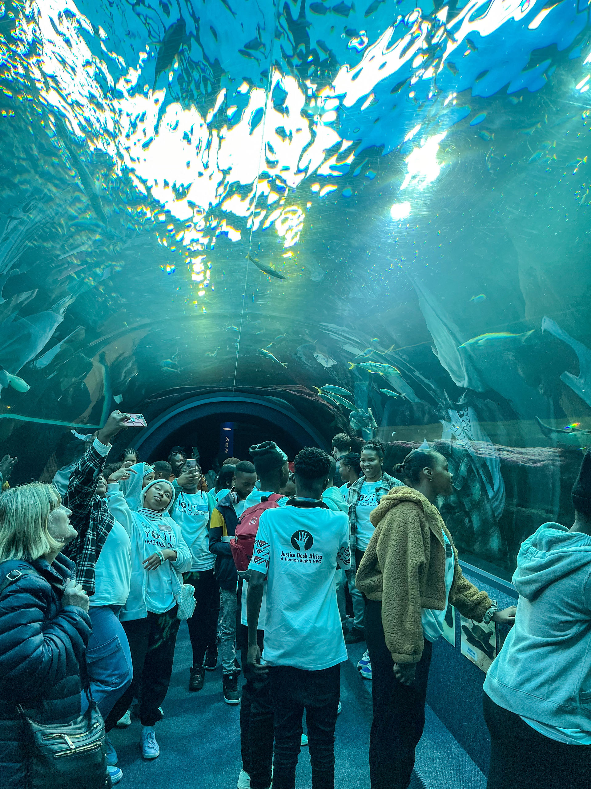 Visit to the Two Oceans Aquarium
