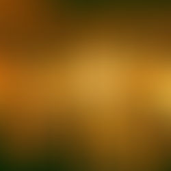 Five men in matching Oddballs boxers pose on stage, making "OK" signs. A lively audience claps in the background. Warm lighting.