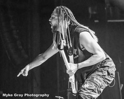 © Myke Gray Photography