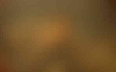 © Myke Gray Photography