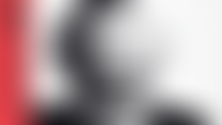 Bryan Adams - 'Live At The Royal Albert Hall 2024'