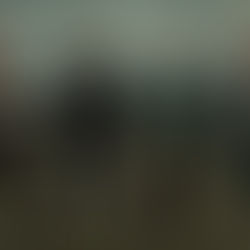 Four men stand in a field against a cloudy sky. One wears a camo hat, others wear dark shirts. The mood is calm and serious.