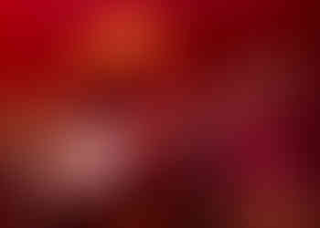 © Myke Gray Photography