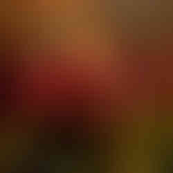 © Myke Gray Photography