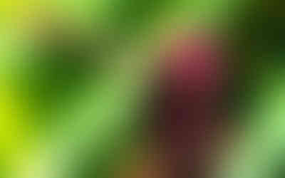 © Myke Gray Photography