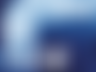 Blue abstract poster with white text BUSH and large stylized Chinese characters on a dark blue textured background