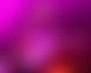 © Myke Gray Photography