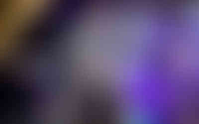 © Myke Gray Photography